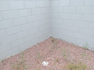 Casa com 87m², 2 dormitórios no bairro Vila Nova em Porto Alegre para Alugar