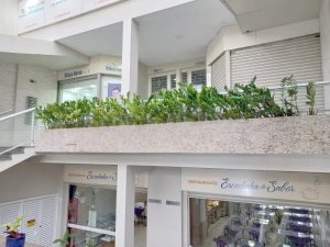 Loja com 65m² no bairro Petrópolis em Porto Alegre para Alugar