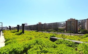 Apartamento com 47m², 1 dormitório no bairro Santana em Porto Alegre para Alugar