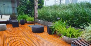 Apartamento com 35m², 1 dormitório no bairro Teresópolis em Porto Alegre para Alugar