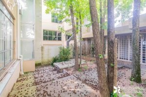 Loja com 320m² no bairro Rio Branco em Porto Alegre para Alugar