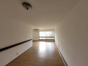 Apartamento com 110m², 3 dormitórios no bairro Rio Branco em Porto Alegre para Alugar