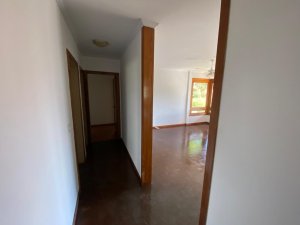 Apartamento com 209m², 3 dormitórios no bairro Chácara das Pedras em Porto Alegre para Alugar