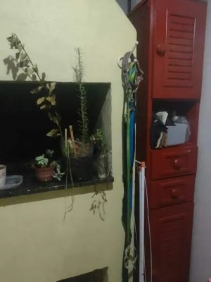 Apartamento com 140m², 3 dormitórios no bairro Medianeira em Porto Alegre para Alugar