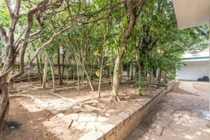Casa com 387m², 3 dormitórios no bairro Vila Ipiranga em Porto Alegre para Alugar