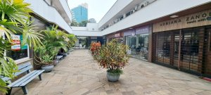 Loja com 40m² no bairro Rio Branco em Porto Alegre para Alugar