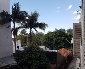 Apartamento com 50m², 1 dormitório no bairro Vila Ipiranga em Porto Alegre para Alugar