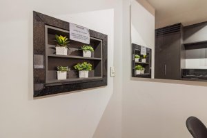 Apartamento com 39m², 1 dormitório no bairro Chácara das Pedras em Porto Alegre para Alugar