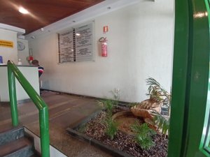 Salas/Conjuntos com 4.863m² no bairro Petrópolis em Porto Alegre para Alugar