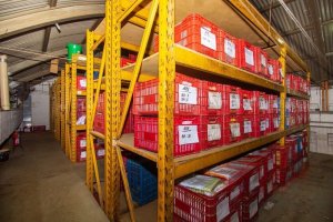 Galpão com 675m² no bairro Floresta em Porto Alegre para Alugar