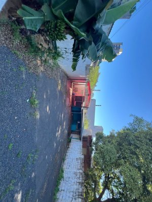 Terreno com 260m² no bairro Petrópolis em Porto Alegre para Alugar