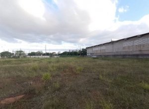 Terreno com 7050m² no bairro Anchieta em Porto Alegre para Alugar