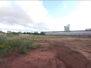 Terreno com 7050m² no bairro Anchieta em Porto Alegre para Alugar