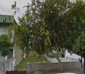 Terreno com 355m² no bairro Passo da Areia em Porto Alegre para Alugar