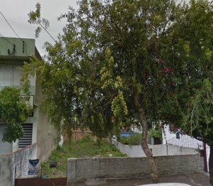 Terreno com 355m² no bairro Passo da Areia em Porto Alegre para Alugar