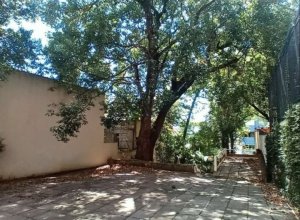 Casa comercial com 400m² no bairro Moinhos de Vento em Porto Alegre para Alugar