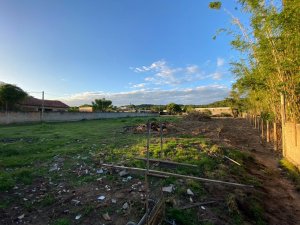 Depósito/Pavilhão com 25000m² no bairro Aberta dos Morros em Porto Alegre para Alugar