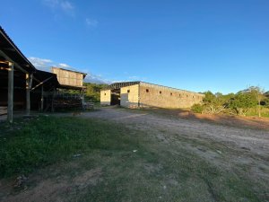 Depósito/Pavilhão com 25000m² no bairro Aberta dos Morros em Porto Alegre para Alugar