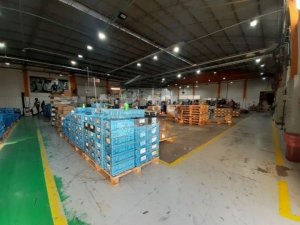 Galpão com 1.368m² no bairro Anchieta em Porto Alegre para Alugar