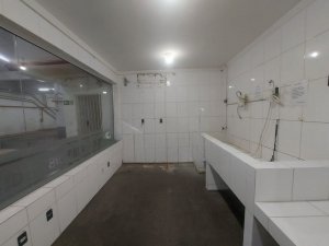 Galpão com 1.300m² no bairro Sarandi em Porto Alegre para Alugar