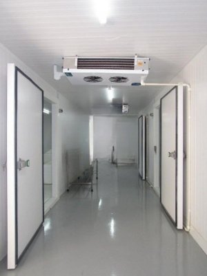 Galpão com 195m² no bairro Sarandi em Porto Alegre para Alugar