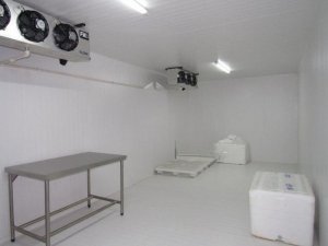 Galpão com 195m² no bairro Sarandi em Porto Alegre para Alugar