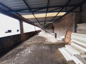 Galpão com 1.200m² no bairro Agronomia em Porto Alegre para Alugar