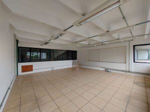 Galpão com 250m² no bairro Santa Maria Goretti em Porto Alegre para Alugar