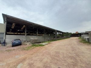 Depósito/Pavilhão com 6030m² no bairro Restinga em Porto Alegre para Alugar