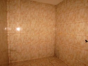 Galpão com 398m² no bairro Navegantes em Porto Alegre para Alugar