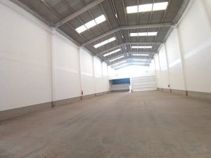 Depósito/Pavilhão com 630m² no bairro Anchieta em Porto Alegre para Alugar