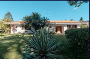 Casa comercial com 400m² no bairro Três Figueiras em Porto Alegre para Alugar