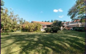 Casa comercial com 400m² no bairro Três Figueiras em Porto Alegre para Alugar