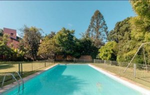 Casa comercial com 400m² no bairro Três Figueiras em Porto Alegre para Alugar