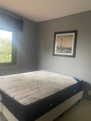 Apartamento com 40m², 1 dormitório no bairro Três Figueiras em Porto Alegre para Alugar