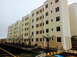 Apartamento com 45m², 2 dormitórios no bairro Jardim Leopoldina em Porto Alegre para Alugar