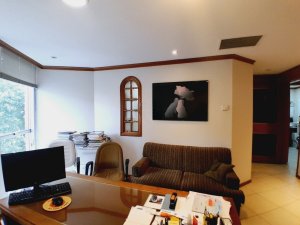 Salas/Conjuntos com 200m² no bairro Rio Branco em Porto Alegre para Alugar