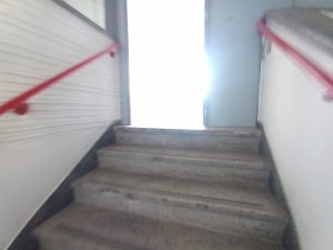 Pavilhão com 461m² no bairro Navegantes em Porto Alegre para Alugar