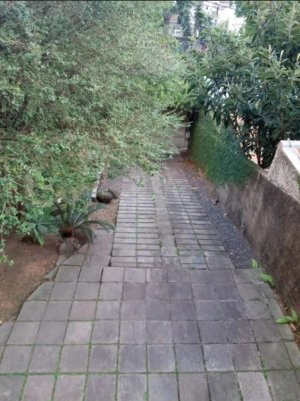 Casa comercial com 380m² no bairro Bela Vista em Porto Alegre para Alugar