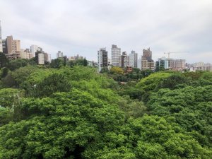 Apartamento com 196m², 3 dormitórios no bairro Bela Vista em Porto Alegre para Alugar