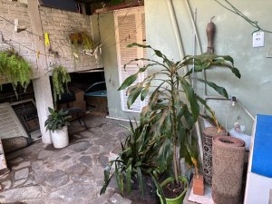 Casa com 360m², 5 dormitórios no bairro Chácara das Pedras em Porto Alegre para Alugar