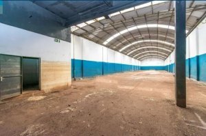 Galpão com 1.664m² no bairro Floresta em Porto Alegre para Alugar