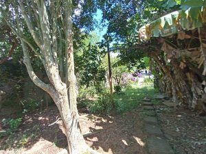 Casa com 88m², 3 dormitórios no bairro Glória em Porto Alegre para Alugar