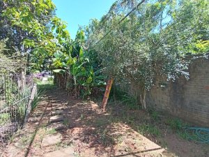 Casa com 88m², 3 dormitórios no bairro Glória em Porto Alegre para Alugar