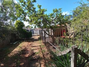 Casa com 88m², 3 dormitórios no bairro Glória em Porto Alegre para Alugar