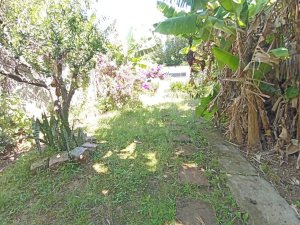 Casa com 88m², 3 dormitórios no bairro Glória em Porto Alegre para Alugar