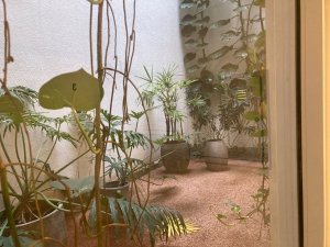 Salas/Conjuntos com 34m² no bairro Petrópolis em Porto Alegre para Alugar