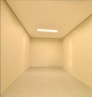 Loja com 500m² no bairro Menino Deus em Porto Alegre para Alugar