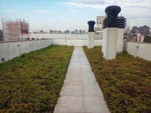 Apartamento com 48m², 1 dormitório no bairro Petrópolis em Porto Alegre para Alugar