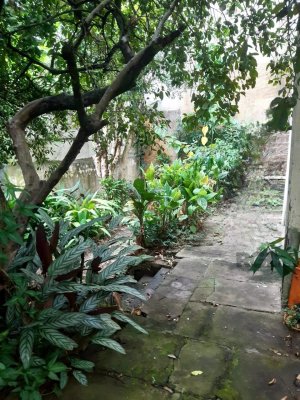 Loja com 250m² no bairro Petrópolis em Porto Alegre para Alugar